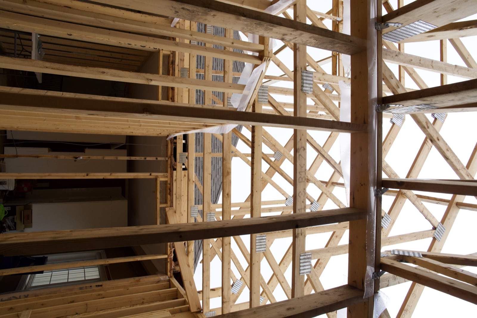Interior structural framing during a Halpern & Co. build-out